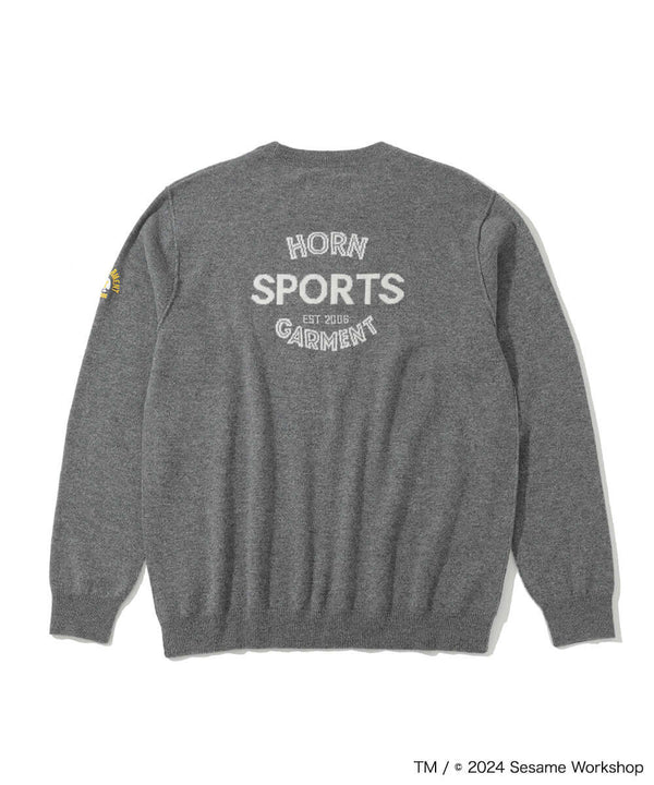 Sesame Street Playhouse Cashmere Sweater | MEN