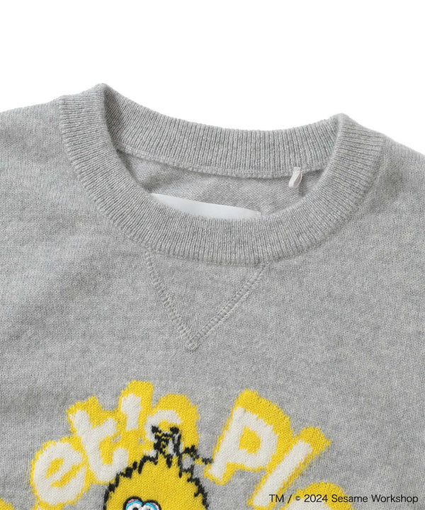 Sesame Street Playhouse Cashmere Sweater | WOMEN