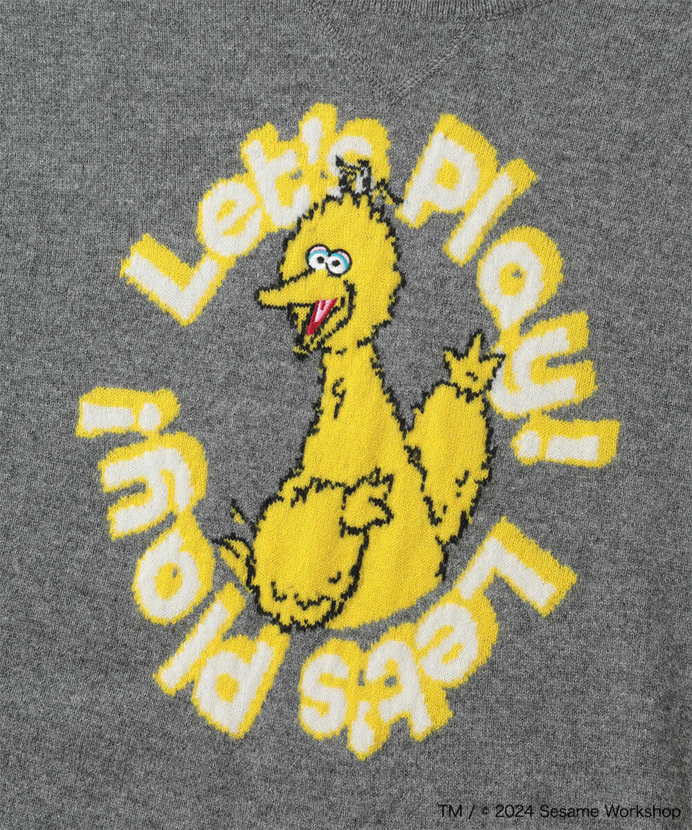 Sesame Street Playhouse Cashmere Sweater | MEN