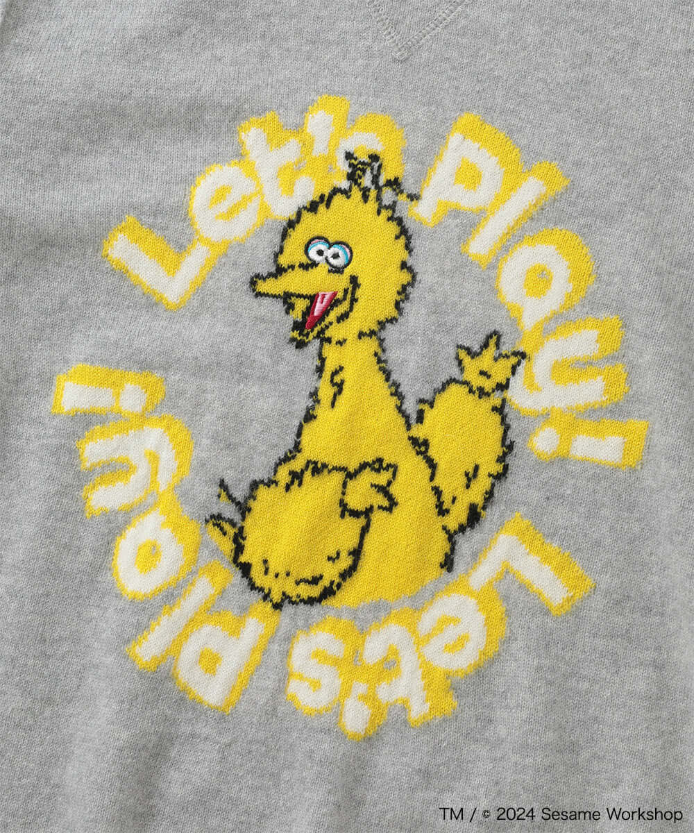 Sesame Street Playhouse Cashmere Sweater | WOMEN