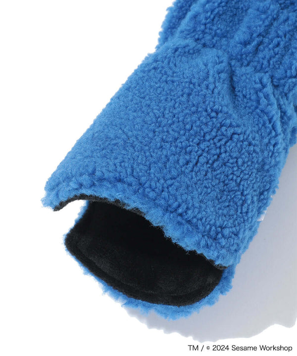 Sesame Street Playhouse Wood Cover