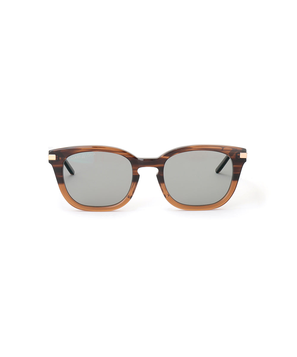 BROWN / 偏光レンズ