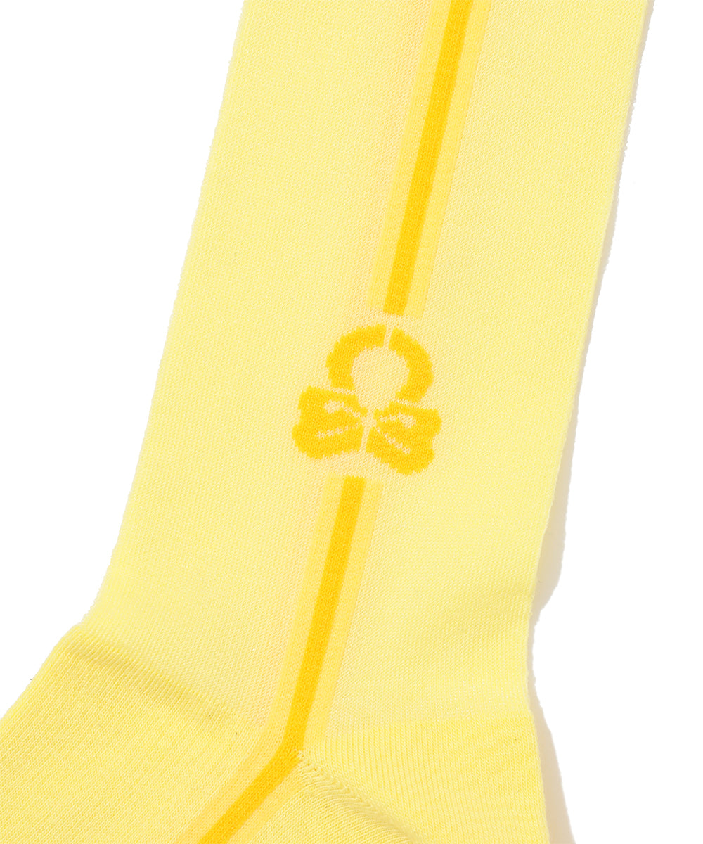 ML Sheer Over Knee Socks | WOMEN