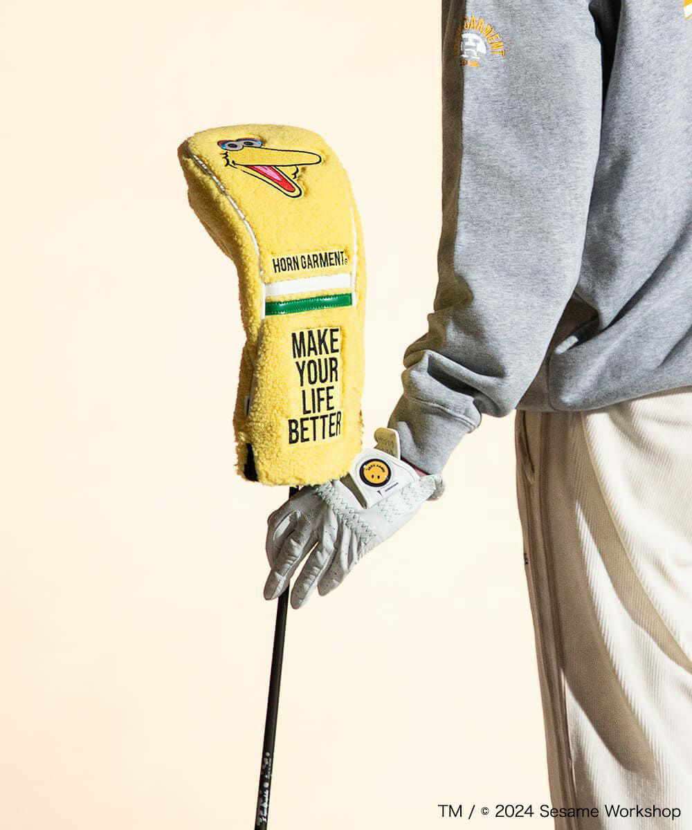 Sesame Street Playhouse Driver Cover